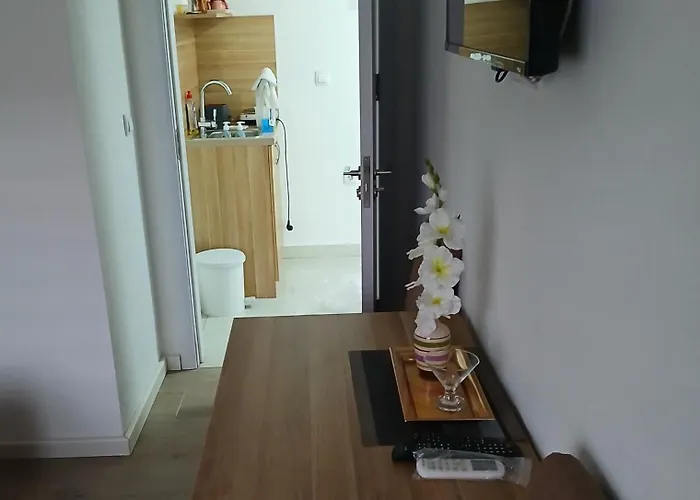 Soba Thorovic 3 Apartment